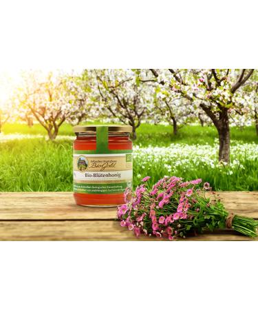 Erlbacher Honighaus Biogold Bio-Bl ten Honey - 500g Pure Organic Liquid Honey from Ecological Beekeeping - Buy Online on GoSupps.com