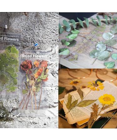 MAXLEAF Transparent Waterproof Stickers Set - 48PCS Vintage Plants Flowers Collection - Dried Flowers - Waterproof Stickers for Decoration Planners Scrapbook Laptops - Buy Online on GoSupps.com