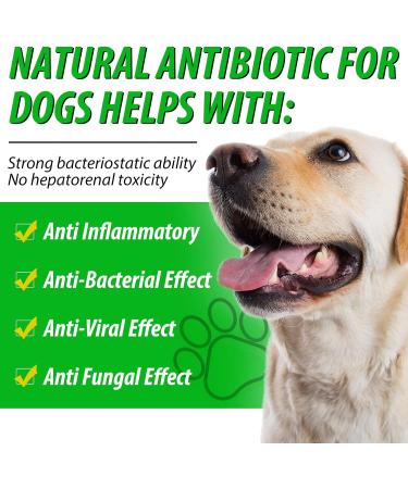 NIFEISHI Antibiotics for Dogs 60ml - Itchy Skin & Allergy Relief, Kennel Cough, Ear Infection - Bacon Flavor - Buy Online on GoSupps.com