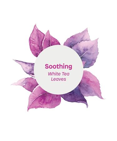 ATTITUDE Super Hypoallergenic Body Wash - Soothing White Tea Leaves, 16 Fl Oz - Gentle & Nourishing - Buy Online on GoSupps.com