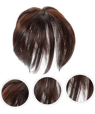 DOITOOL Piece Wig Hair Volume Cover Bangs Hair Extensions Brown Hair Topper Flat Bangs Clip on Brown Hair Bangs Clip on Fake Bangs Clip Chemical Fiber No Trace Middle Aged Tassel - Buy Online on GoSupps.com