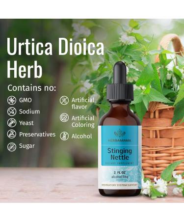 HERBAMAMA Organic Stinging Nettle Root Tincture - Urtica Dioica Herbal Drops - 2 fl oz Liquid Extract - Natural Supplement - Buy Online on GoSupps.com