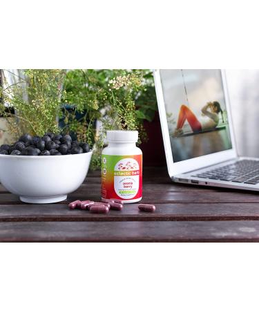 Eclectic Institute Raw Fresh Freeze-Dried Aronia - 450mg Non-GMO Veg Caps (90 Count) - Buy Online on GoSupps.com