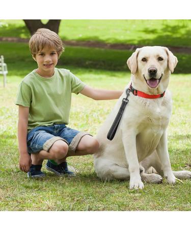Short Dog Leash with Padded Handle | Reflective Nylon for All Dog Sizes | 32cm Training Leash - Buy Online on GoSupps.com