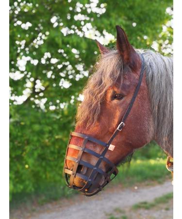 Heavy Horse Feeding Muzzle | Strong & Durable for Warmbloods & Coldbloods - No Throatlatch Reinforced Base Plate - Buy Online on GoSupps.com