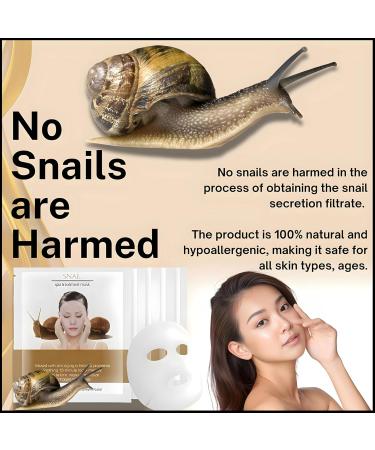 Snail Mucin Facial Sheet Mask - Korean Skincare | Hydrating Anti-Aging Detox Mask for Glowing Skin & After Sun Care - Buy Online on GoSupps.com
