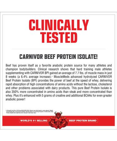 MuscleMeds Carnivor Mass Chocolate Big Steer 15lb Bucket - High-Quality Protein Supplement - Buy Online on GoSupps.com