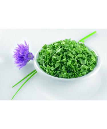  RAPS Rohgew rze 1a RAPS 1004658-001 40g box freezer dried - Buy Online on GoSupps.com