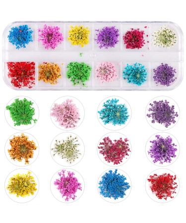KISSBUTY 24 Colors Dry Flowers Mini Real Natural Nail Art Supplies - 2 Boxes Dried Flowers for 3D Nail Decoration and Manicure - Flowers and Gypsophila - Buy Online on GoSupps.com