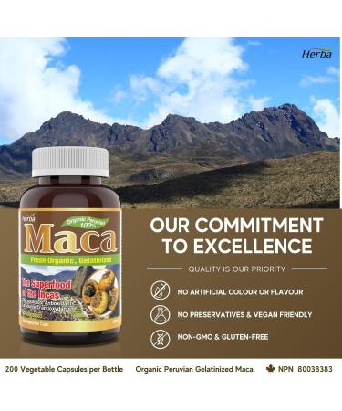 Herba Organic Maca for Men & Women - 200 Capsules | 100% Organic Gelatinized Maca Root | 500mg Peruvian Yellow Maca per Vegetable Capsule | Made in Canada - Buy Online on GoSupps.com