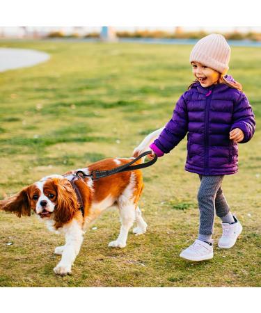 Short Dog Leash with Padded Handle | Reflective Nylon for All Dog Sizes | 32cm Training Leash - Buy Online on GoSupps.com