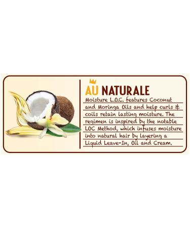 Dark and Lovely Au Naturale Moisture L.O.C. Leave In Spray - 8.5 Fl oz | SoftSheen-Carson - Buy Online on GoSupps.com