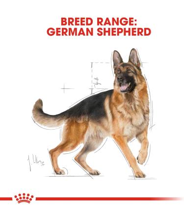 Royal Canin German Shepherd 24 Dry Mix 3 kg - Buy Online on GoSupps.com