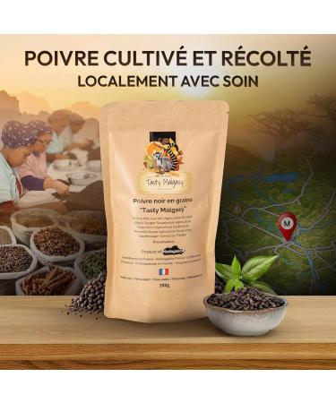 Poivre de Madagascar 200g - Poivre Noir en Grain d'Exception pour Moulin a Poivre et Poivrier Electrique - Epices Cuisine Raffin es - Graine Spicy Epicerie Fine et Epices du Monde - Epice Gourmet - Buy Online on GoSupps.com