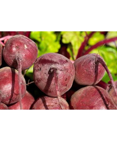 Beetroot Powder | Organic Organic | Beetroot Powder | Organic Organic | Samskara food for thought (1 kg) - Buy Online on GoSupps.com