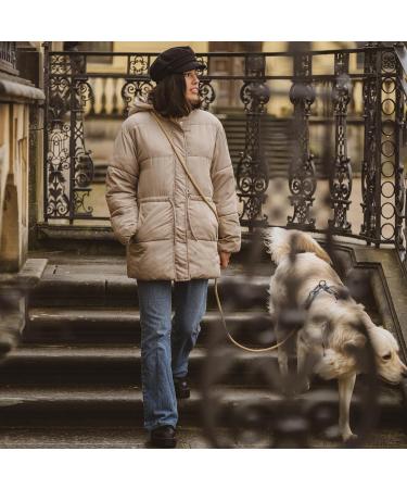 Hands-Free Dog Leash - 2m Adjustable Belly Belt | 3-in-1 Running & Training Leash for Large & Small Dogs - Beige - Buy Online on GoSupps.com