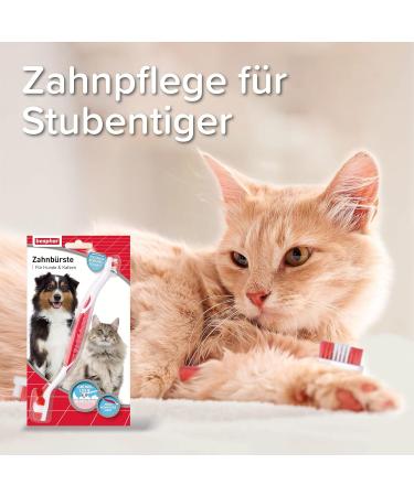Beaphar Dog & Cat Toothbrush - Double Head Ergonomic Grip Special Bristle Cut for Effective Dental Cleaning - Buy Online on GoSupps.com