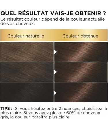 Garnier - Belle Color - Coloration Cr me Permanente - 22 Ch tain Naturel - 100ml 22 Ch tain Naturel 1 unit (Lot de 1) - Buy Online on GoSupps.com