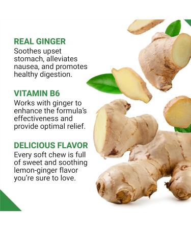 Force Factor Gentle Ginger Chews for Nausea Relief, Motion Sickness, and Morning Sickness, Ginger Supplement with Vitamin B6 for Digestive Support, Non-GMO, Honey-Lemon Ginger Flavor, 60 Soft Chews - Buy Online on GoSupps.com