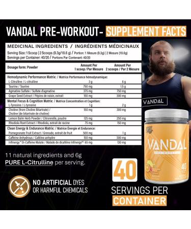 Vandal | Pre Workout Powder - Safe Nootropic Pre Workout Supplement for Men & Women | Boosts Energy Focus Performance & Recovery | Nitric Oxide Booster for Blood Flow | 40 Servings (Squeezed Citrus) - Buy Online on GoSupps.com