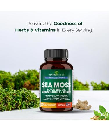 SANDHUHERBALS Sea Moss Capsules with Black Seed Oil Ashwagandha Ginger Burdock Root | Advanced Seamoss 60 Count | All Men Women Age Sea Moss 60 Count (Pack of 1) - Buy Online on GoSupps.com