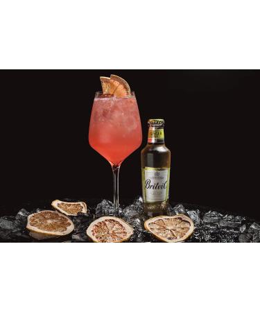  Britvic Britvic Ginger Ale 24 x 200 ml - Buy Online on GoSupps.com