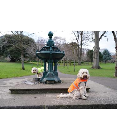 High Visibility Reflective Fleece Dog Coat - Leash Hole 5 Sizes | Safe Outdoor Wear for Day & Night - Yellow M - Buy Online on GoSupps.com