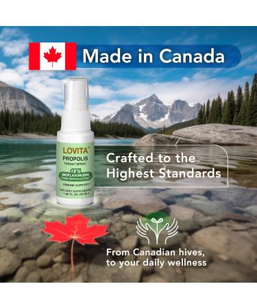 LOVITA Bee Propolis Throat Spray 250mg Bee Propolis Extract with 18% Bioflavonoids Alcohol-Free Antioxidant Immune Support & Sore Throat Relief Gluten-Free Non-GMO 1 Fl Oz 90 Day Supply Throat Spray 1 Fl Oz (Pack of 3) - Buy Online on GoSupps.com