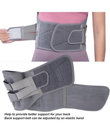 Back Support Belts for Lumbar Spine Relief | Breathable Steel Plate | Pain Relief for Herniated Discs & Lower Back - Buy Online on GoSupps.com