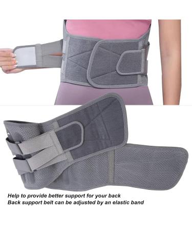 Back Support Belt Breathable Steel Plate Lumbar Support Brace for Lower Back Herniated Disc Back Brace Belt Lumbar Plate Support Lumbar Support Bracket - Buy Online on GoSupps.com