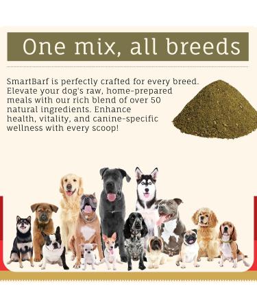 SmartBarf - Dog Food Toppers (500g) with Essential Nutrients - Vegetable Seed & Fruit Mix - Prebiotics for Dogs Dog Gut Health Supplement Raw Food Mix Rich in Minerals & Vitamins (Pack of 1) 500 g (Pack of 1) - Buy Online on GoSupps.com