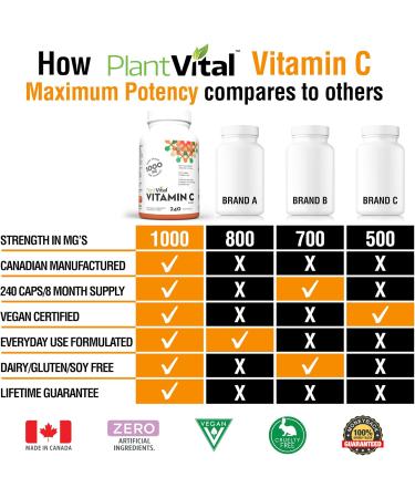 PlantVital Vitamin C 1000mg MAXIMUM STRENGTH -Vit C Supplements helps support immune system collagen and connective tissue formation - Stronger bones teeth and gums - 8 Months Supply - 240 Capsules 240 Count (Pack of 1) - Buy Online on GoSupps.com