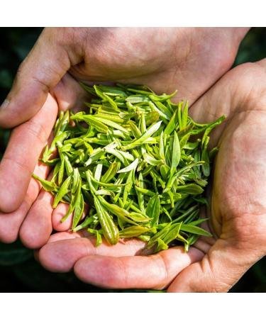 HQZM Buy White Tea From Huzhou 352oz Prechingming Premium Spring Tea 100g Bag  - Buy Online on GoSupps.com