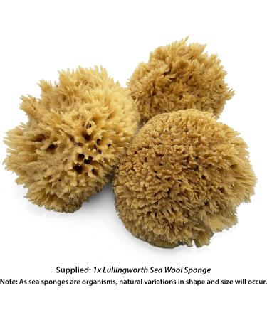 Premium Sea Wool Art Sponge: Professional Grade for Painting, Decorating, Texturing, and More - Buy Online on GoSupps.com