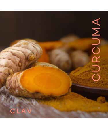 Vegan Turmeric Extract (120 Capsules) - 450mg Curcuminoids and 19mg Piperine - High Dosage - 95% Turmeric Curcumin - corresponds to min 15000mg Turmeric Powder per Capsule - for 4 Months - Buy Online on GoSupps.com