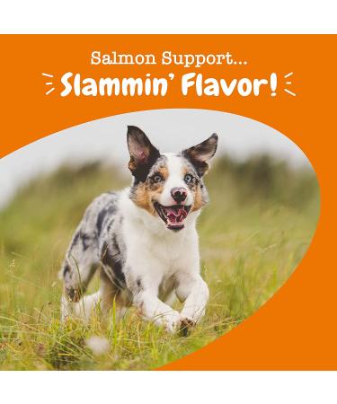 Zesty Paws Salmon Bites â€“ Skin & Coat Chews for Dogs | 90 Soft Chews, All Ages - Buy Online on GoSupps.com