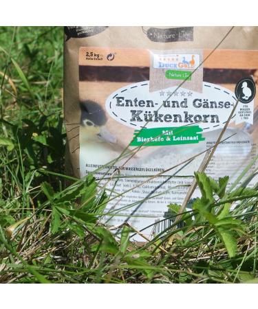 Buy HDmirrorR Duck & Goose Chick Grain 2.5kg | Premium Duck & Goose Feed | Starter for Chicks & Goslings - International Shipping Available - Buy Online on GoSupps.com