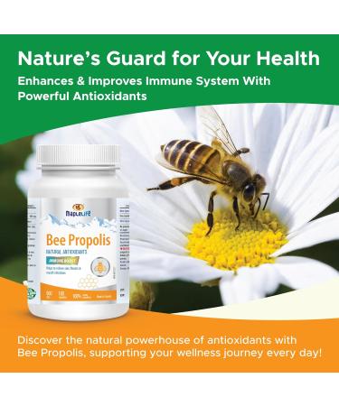 Maplelife Bee Propolis Natural Relief 500mg Easy to Take Capsule Essential Immunity Booster - 100 capsules - Buy Online on GoSupps.com