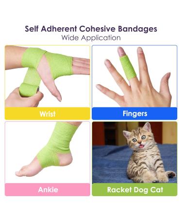 12pcs 5cm x 4.5m Cohesive Bandages - Self Adherent Sport Wrap for Wrist, Ankle Sprains - Vet Wrap for Pets - Assorted Colors - Buy Online on GoSupps.com