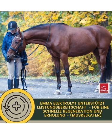 Emma Electrolyte for Horses 1L + Vitamin B12 | Essential Minerals for Optimal Equine Health - Buy Online on GoSupps.com