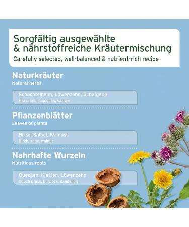 AniForte Mauke Horse Formula 1kg - Skin & Hoof Care Metabolism & Immune System Support Horse Care for Vital Skin & Wellness - Buy Online on GoSupps.com