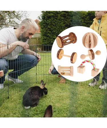 CCCYMM 6 Pcs Pet Natural Wooden Chew Toys Dumbells Exercise Bell Molar Toy for Parrot Rabbit Chinchilla Guinea Pig Hamster Small Animals - Buy Online on GoSupps.com