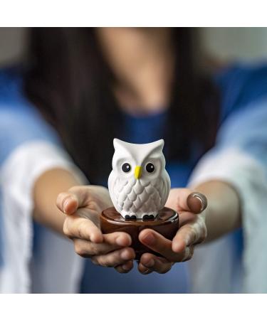 Blinky Owl Ceramic Diffusers - Non-Electric Essential Oil & Aromatherapy Diffusers for Home Office & Car - Stylish White & Brown Decor - Buy Online on GoSupps.com