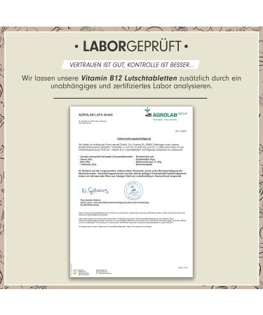 Buy Vegan Vitamin B12 Sucking Tablets 240x - 500 g Methylcobalamin Sugar-Free Delicious Lemon Flavor | High Dose B12 Supplement - Buy Online on GoSupps.com