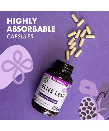 Bluebonnet Nutrition Standardized Olive Leaf Herb Extract 60 Count 60 count (Pack of 1) - Buy Online on GoSupps.com