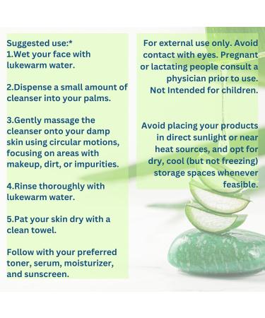 Deme-Tea Japanese Green Tea 2 in 1 Make-Up Remover & Facial Cleanser | Aloe Vera Cucumber Extract Plant-Based | Made in USA - Buy Online on GoSupps.com