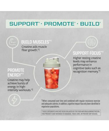 Creatine Powder & Vanilla Classic Plus Organic Protein Powder Set | Bundle & Save | Vegan Protein Superfood Blend plus Unflavored Creatine Monohydrate (60 Servings Unflavored 30 Servings Vanilla) - Buy Online on GoSupps.com