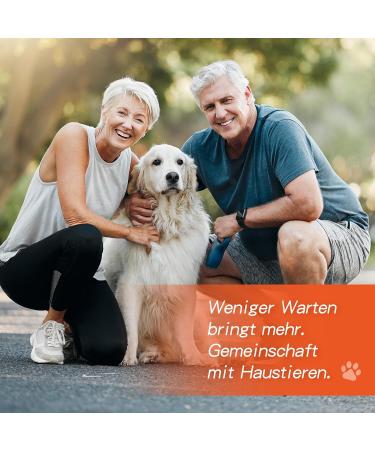 Alievepet 7 Tests Giardien Schnelltest for Dogs & Cats | Reliable Intestinal Parasite & Diarrhea Test - Buy Online on GoSupps.com