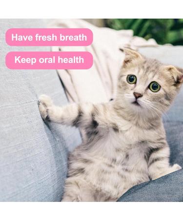 Buy Double-Sided Cat Toothbrush Set - Deep Cleaning Kit for Kittens & Cats - Pink & Orange - Buy Online on GoSupps.com