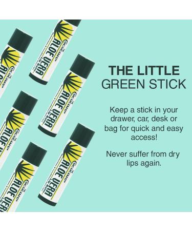 Cococare Aloe Vera Lip Balm 0.15 Oz - Soothing Relief for Chapped Lips | Buy Online - Fast International Shipping - Buy Online on GoSupps.com